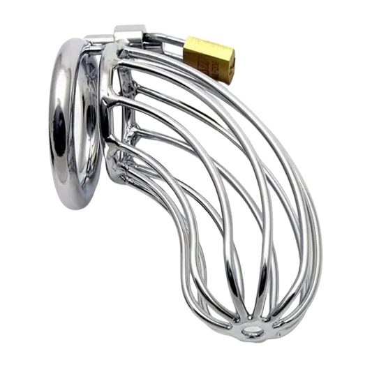 Stainless Steel Cock Cage