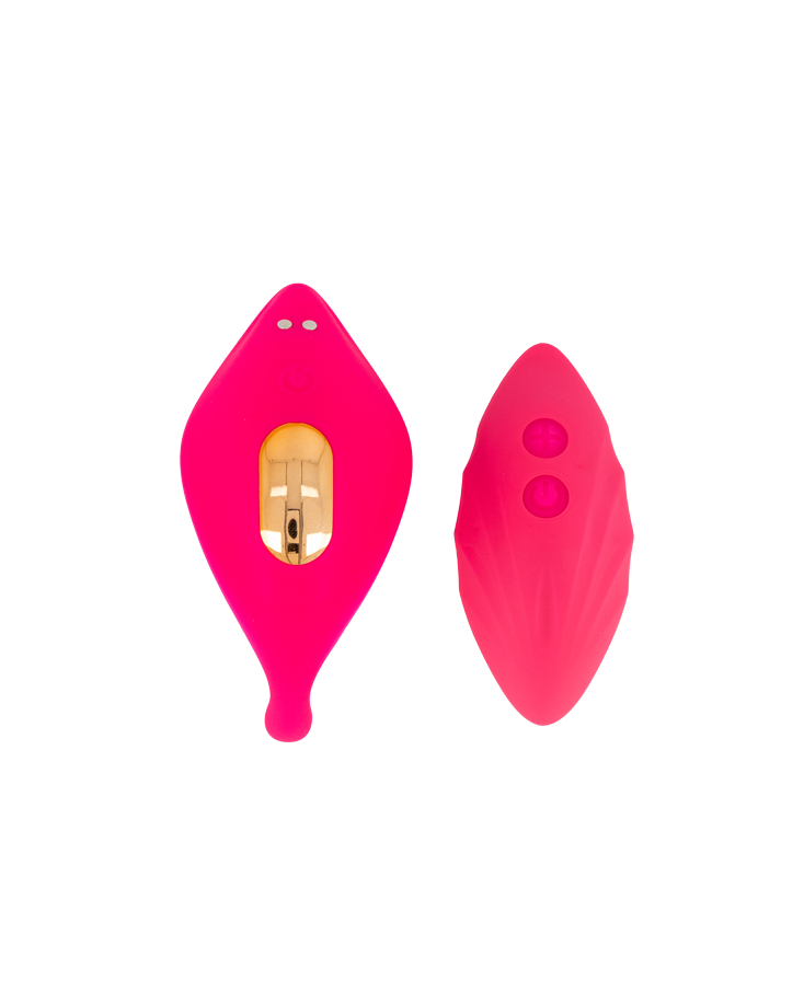 Remote Wearable Vibrator