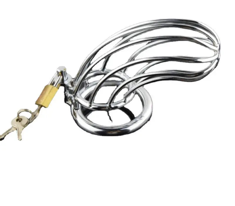 Stainless Steel Cock Cage