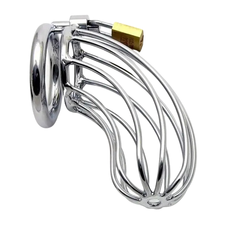 Stainless Steel Cock Cage